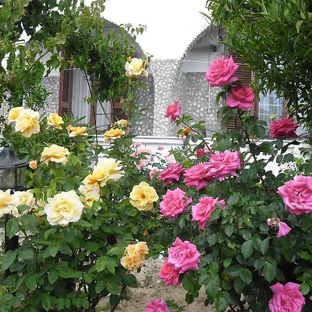 Maria Guest house